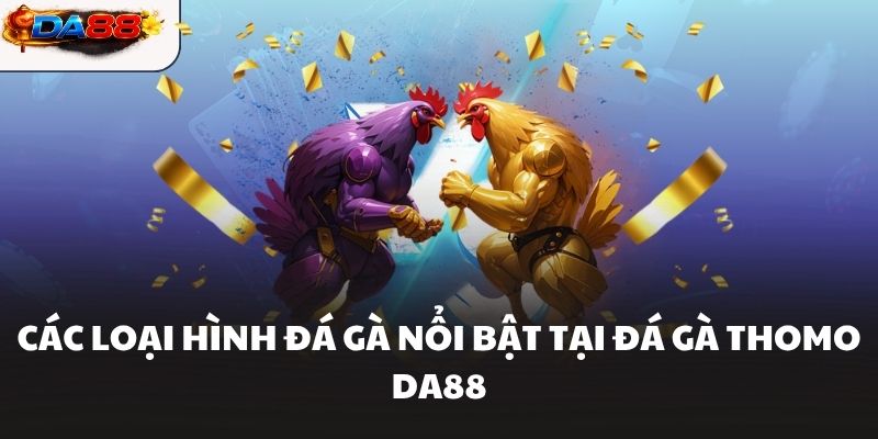 Đá Gà Thomo DA88 Giải Trí Hấp Dẫn Cho Ai Đam Mê Chọi Gà - havor.pro