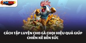 Đá Gà DA88 – Sảnh Chơi Đá Gà Hôm Nay Kịch Tính Nhất - havor.pro