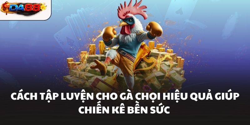 Cách Tập Luyện Cho Gà Chọi Hiệu Quả Giúp Chiến Kê Bền Sức #1 - havor.pro