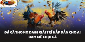 Đá Gà DA88 – Sảnh Chơi Đá Gà Hôm Nay Kịch Tính Nhất - havor.pro