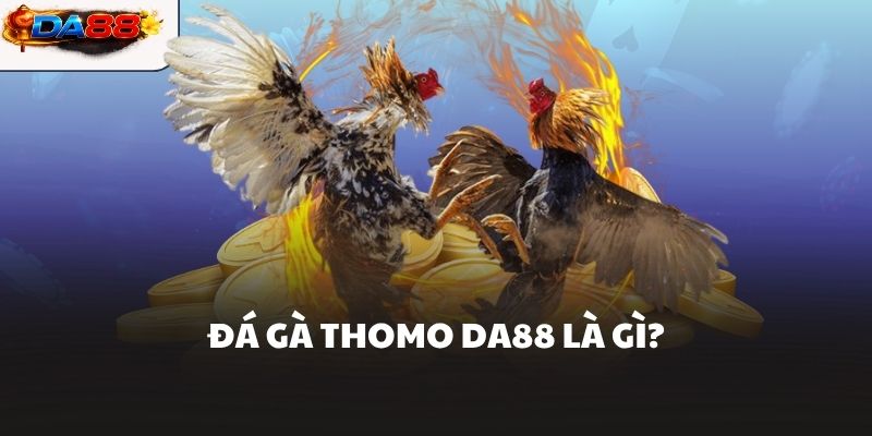 Đá Gà Thomo DA88 Giải Trí Hấp Dẫn Cho Ai Đam Mê Chọi Gà - havor.pro