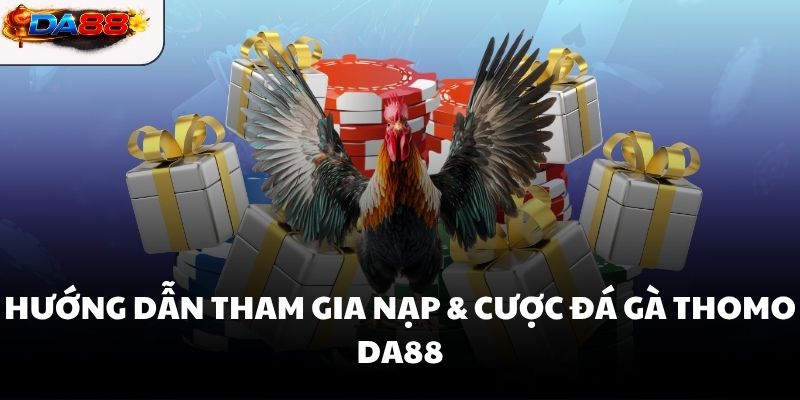 Nạp Và Cược Đá Gà Thomo DA88 Trải Nghiệm Giải Trí Đỉnh Cao - havor.pro