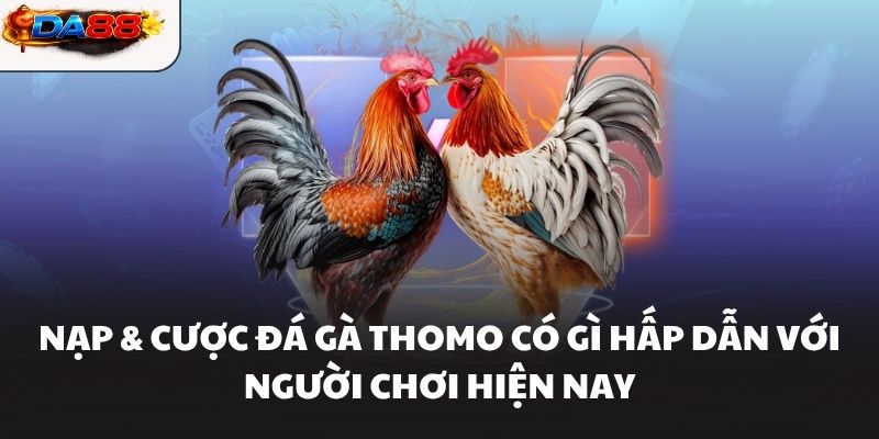 Nạp Và Cược Đá Gà Thomo DA88 Trải Nghiệm Giải Trí Đỉnh Cao - havor.pro