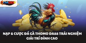 Đá Gà DA88 – Sảnh Chơi Đá Gà Hôm Nay Kịch Tính Nhất - havor.pro