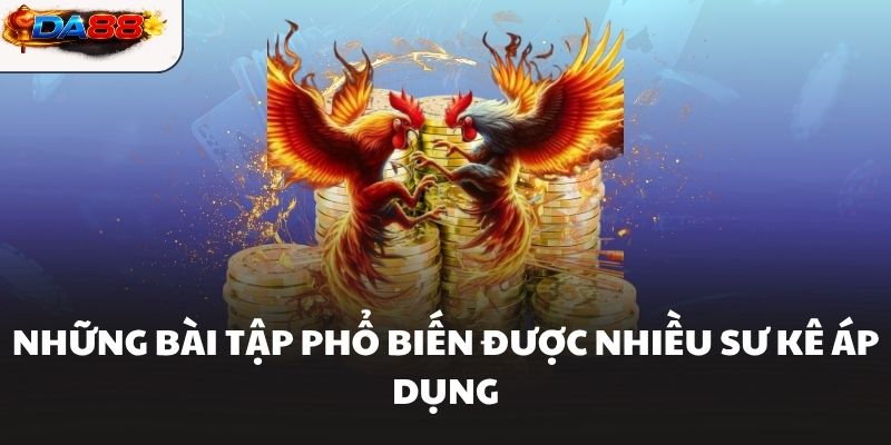 Cách Tập Luyện Cho Gà Chọi Hiệu Quả Giúp Chiến Kê Bền Sức #1 - havor.pro