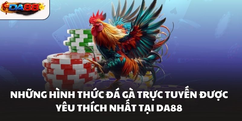 Đá Gà DA88 – Sảnh Chơi Đá Gà Hôm Nay Kịch Tính Nhất - havor.pro