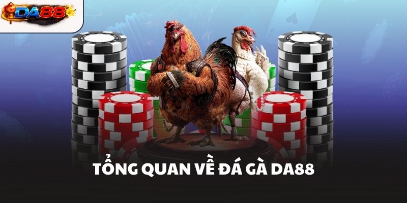 Đá Gà DA88 – Sảnh Chơi Đá Gà Hôm Nay Kịch Tính Nhất - havor.pro