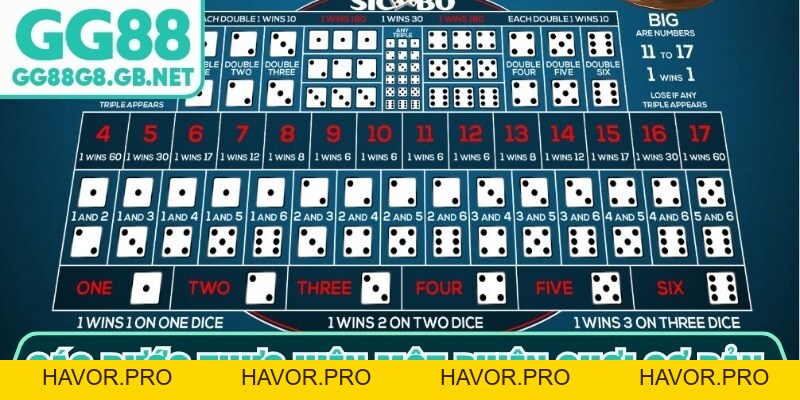 Bàn Chơi Tài Xỉu Gg88 - Trải Nghiệm Giải Trí Đỉnh Cao - havor.pro