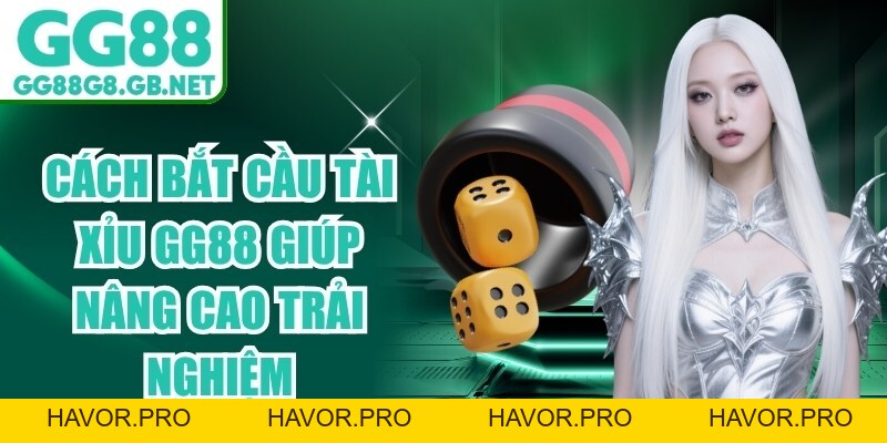 Cách Bắt Cầu Tài Xỉu GG88 Giúp Nâng Cao Trải Nghiệm - havor.pro