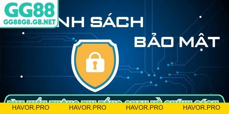 Chính Sách Bảo Mật GG88 - havor.pro