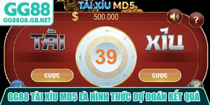 GG88 Tài Xỉu MD5 - Lựa Chọn Nổi Bật Cho Trải Nghiệm Mới - havor.pro