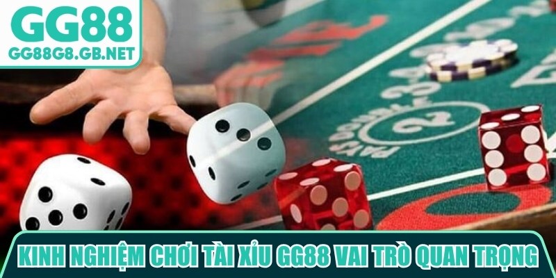 Kinh Nghiệm Chơi Tài Xỉu GG88 Giúp Tăng Hiệu Quả Mỗi Ván - havor.pro