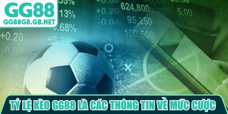 Tỷ Lệ Kèo GG88 - Nguồn Tin Thể Thao Hữu Ích Đáng Chú Ý - havor.pro